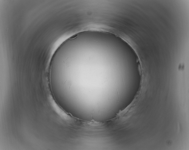 X0000113621152200910021821