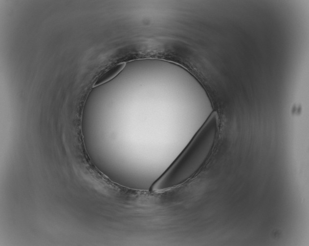 X0000113621153200910021820