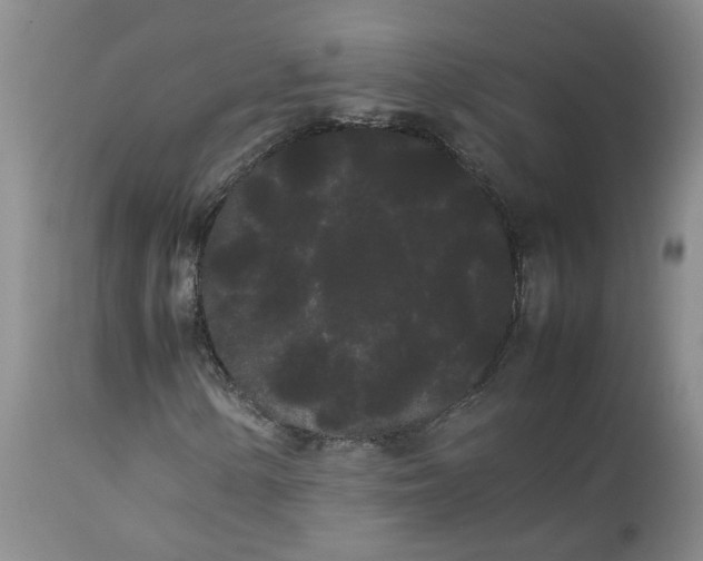 X0000113621154200910021820