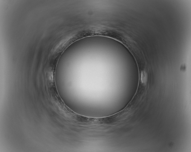 X0000113621155200910021820