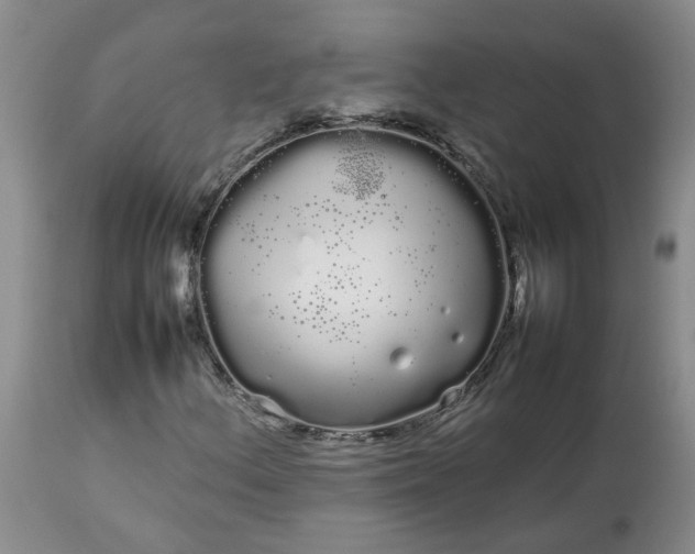 X0000113621156200910021820