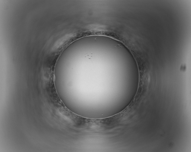 X0000113621157200910021820