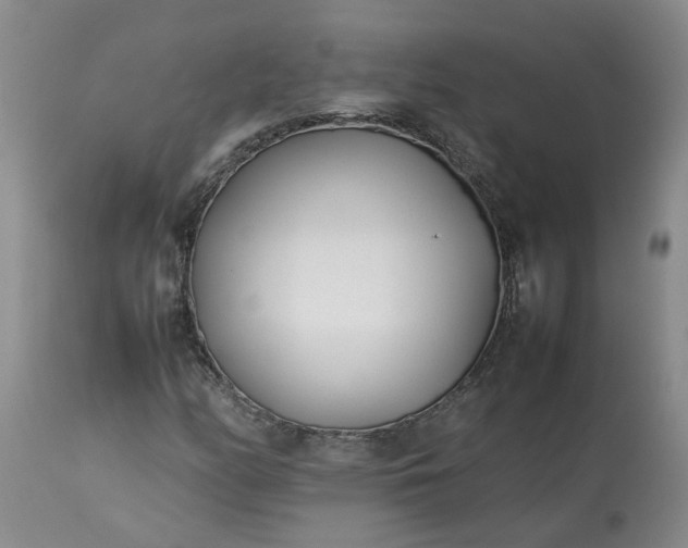 X0000113621158200910021820