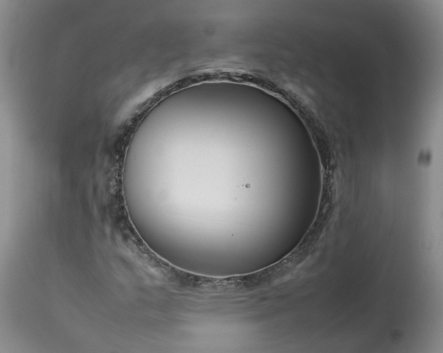 X0000113621159200910021820