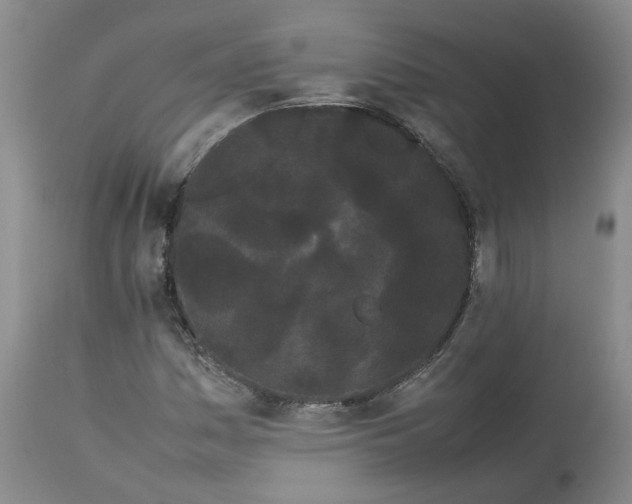 X0000113621161200910021820