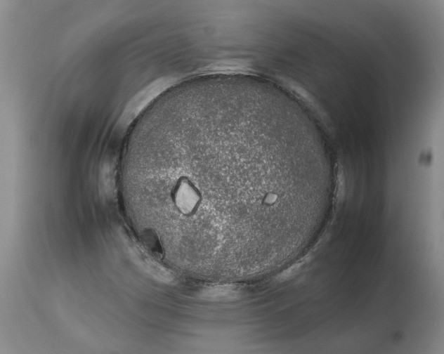 X0000113621162200910021820