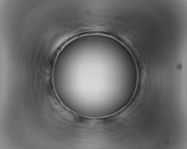 X0000113621163200910021820