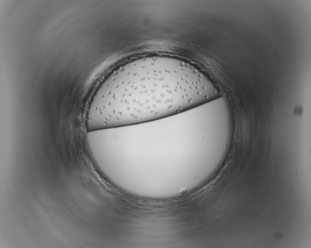 X0000113621164200910021820