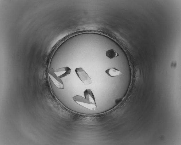 X0000113621166200910021820