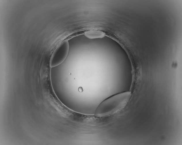 X0000113621169200910021820