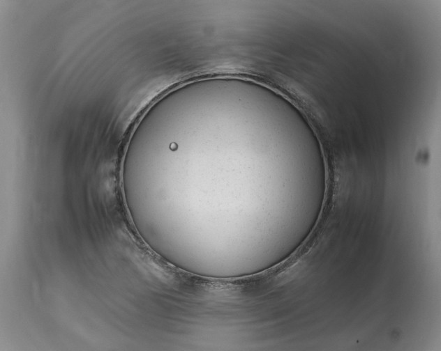 X0000113621170200910021820