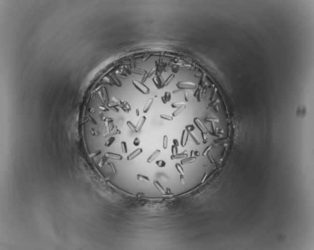 X0000113621174200910021820