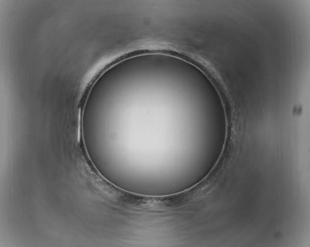 X0000113621175200910021820