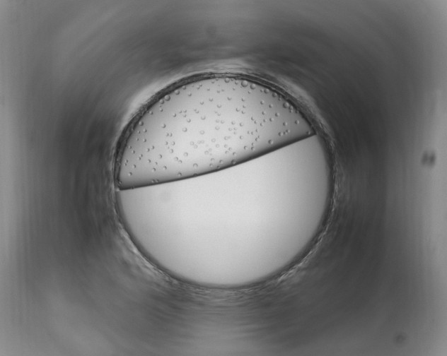 X0000113621176200910021820