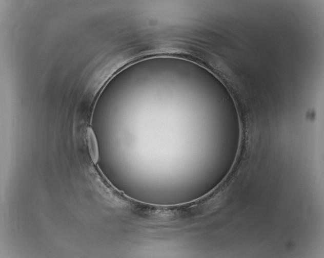 X0000113621177200910021820