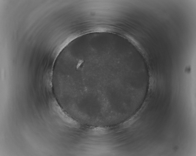 X0000113621178200910021820