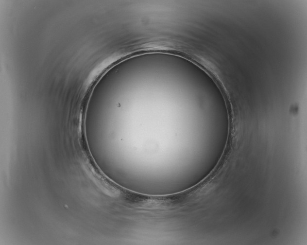 X0000113621179200910021820