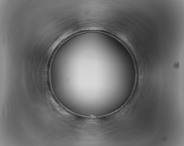 X0000113621181200910021820