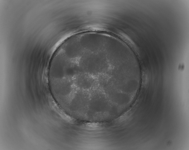 X0000113621182200910021820