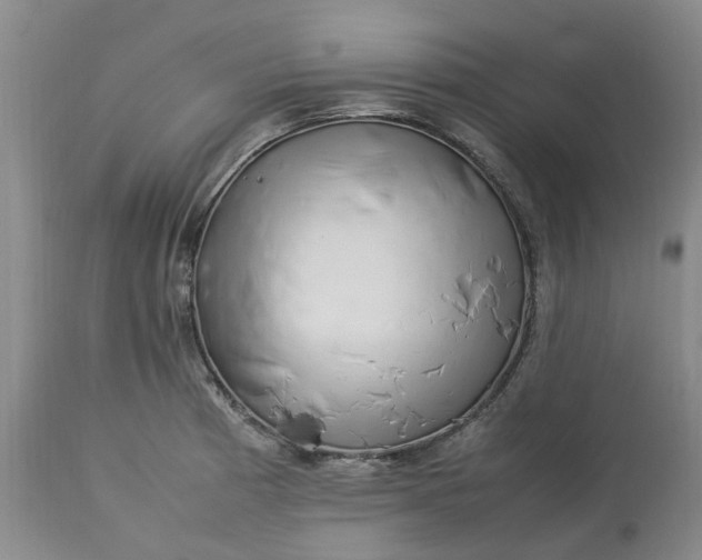 X0000113621185200910021820