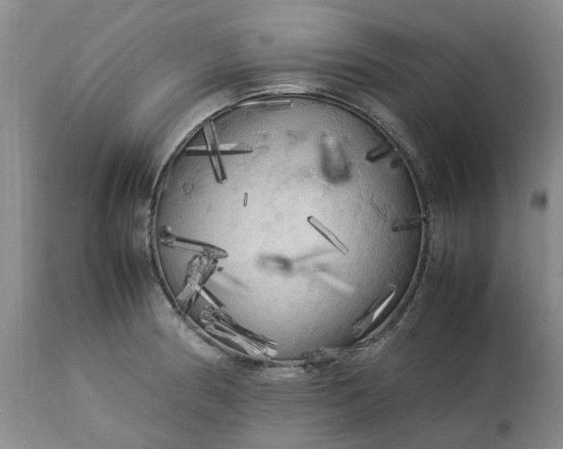 X0000113621186200910021820