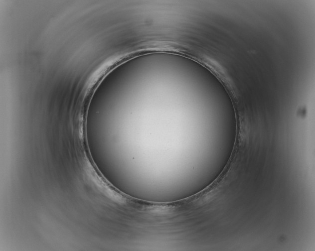 X0000113621188200910021820