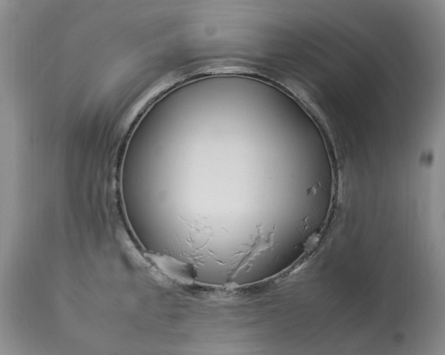 X0000113621189200910021820