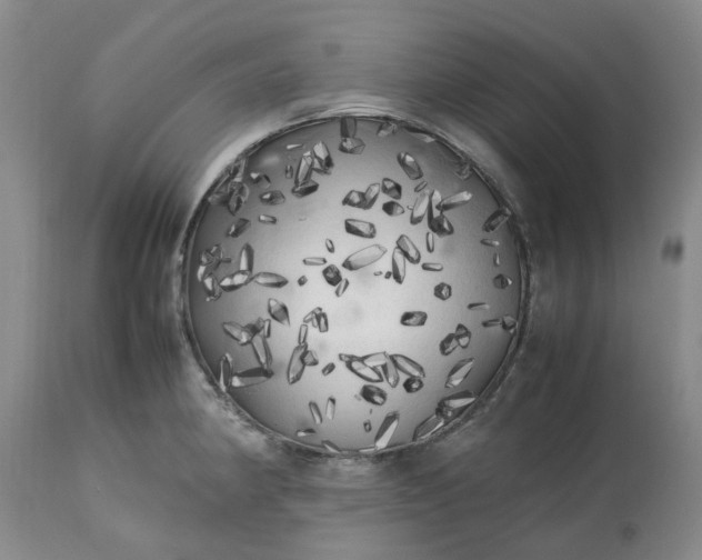 X0000113621190200910021820