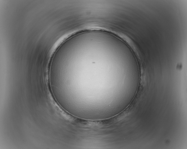 X0000113621191200910021820