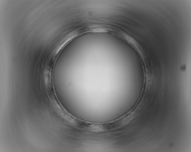 X0000113621194200910021820