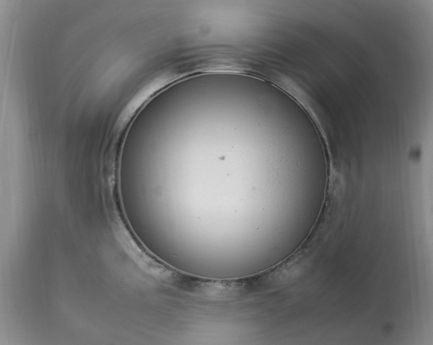 X0000113621195200910021820