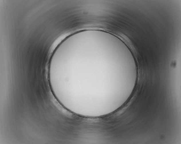 X0000113621196200910021820