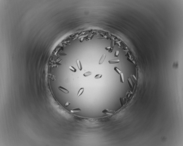 X0000113621198200910021820