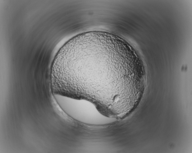 X0000113621200200910021820