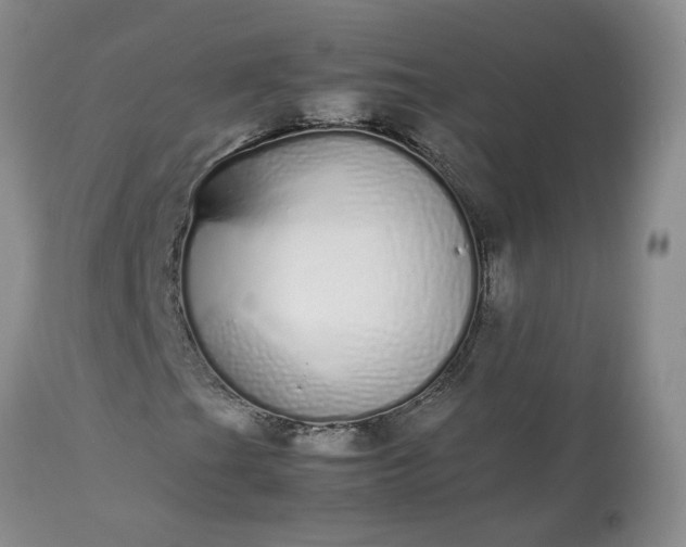 X0000113621201200910021819