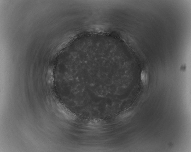 X0000113621203200910021819