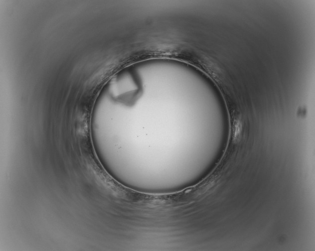 X0000113621204200910021819