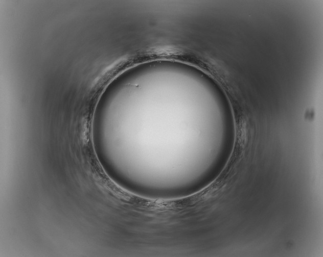 X0000113621205200910021819