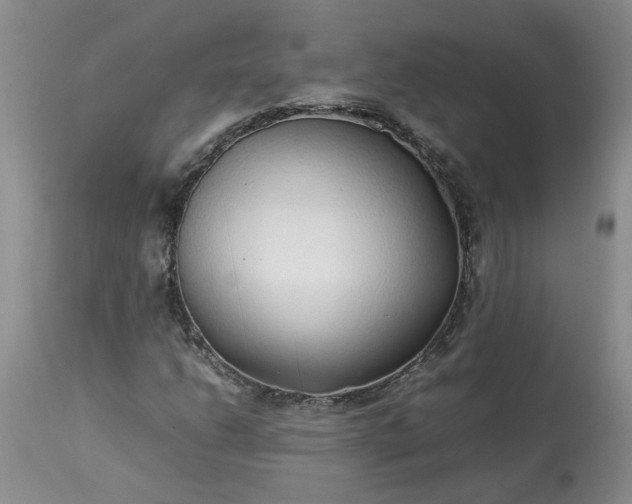 X0000113621206200910021819