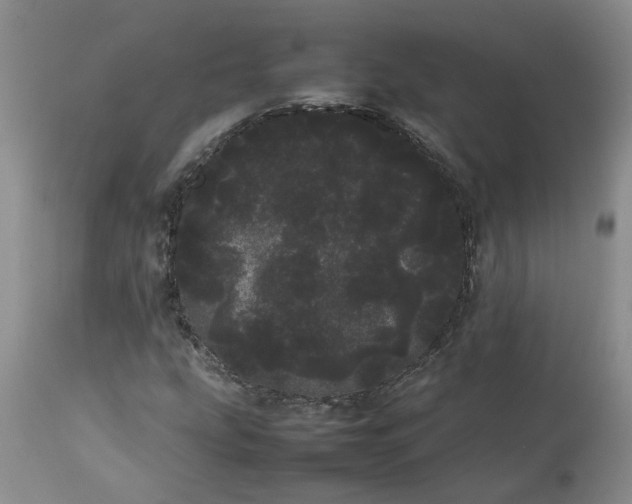 X0000113621207200910021819