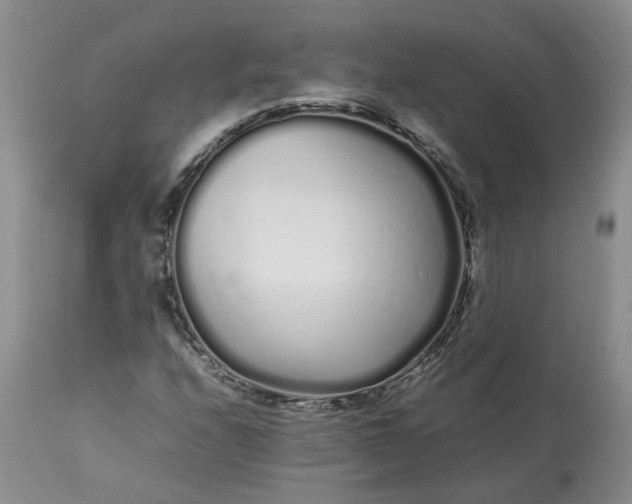 X0000113621208200910021819