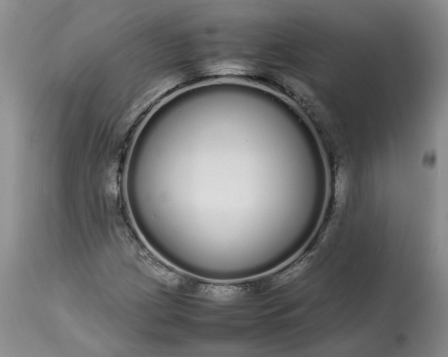 X0000113621209200910021819