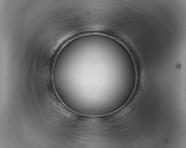 X0000113621210200910021819