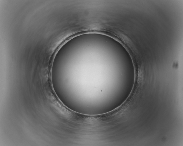 X0000113621212200910021819