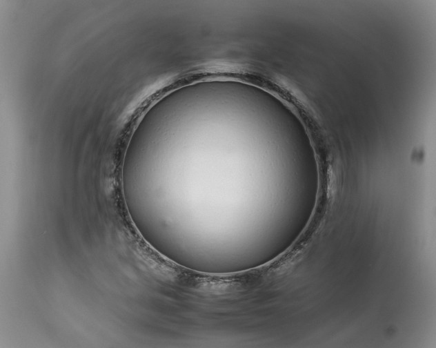 X0000113621213200910021819