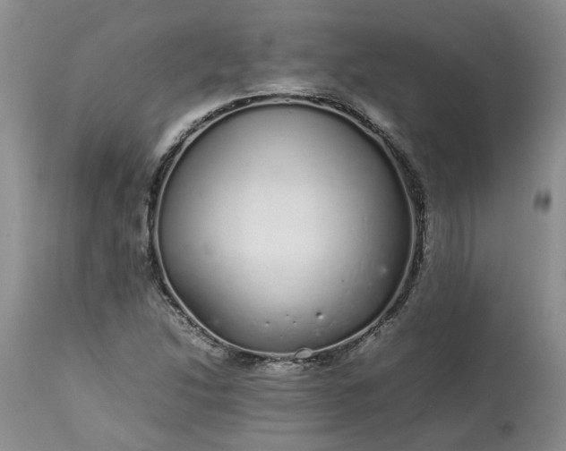 X0000113621214200910021819