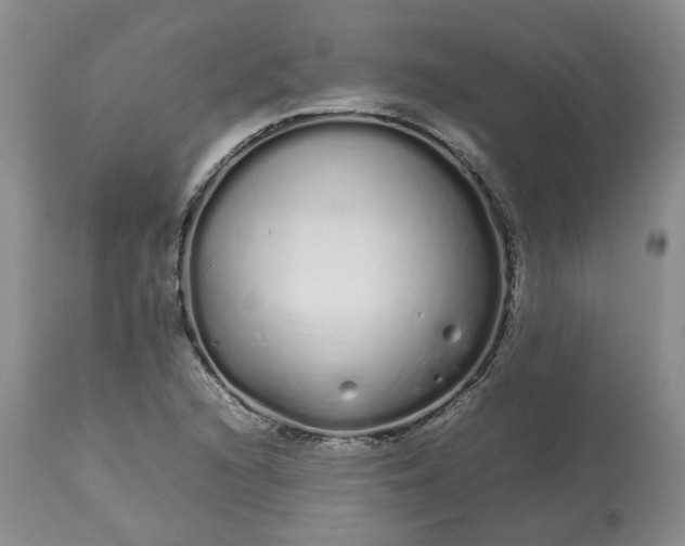 X0000113621216200910021819