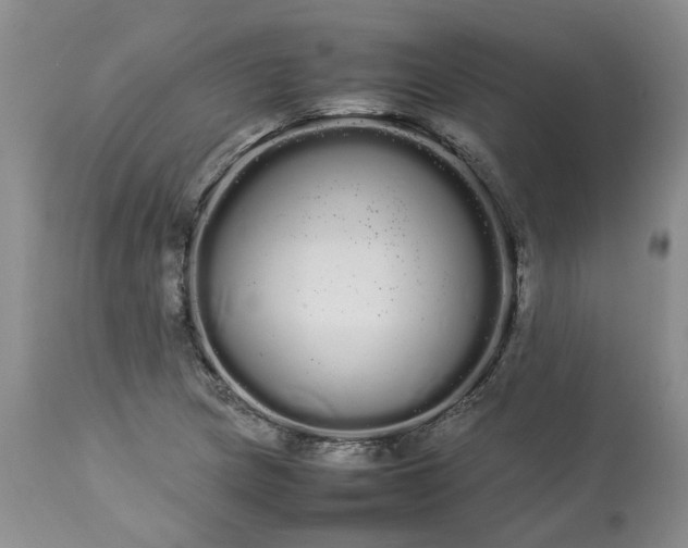 X0000113621217200910021819