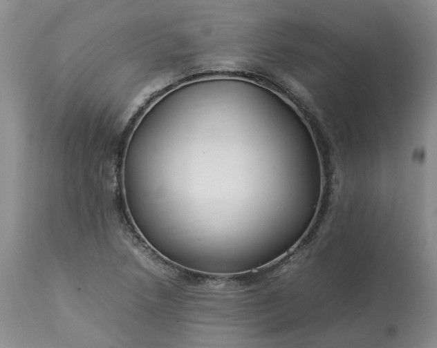 X0000113621218200910021819