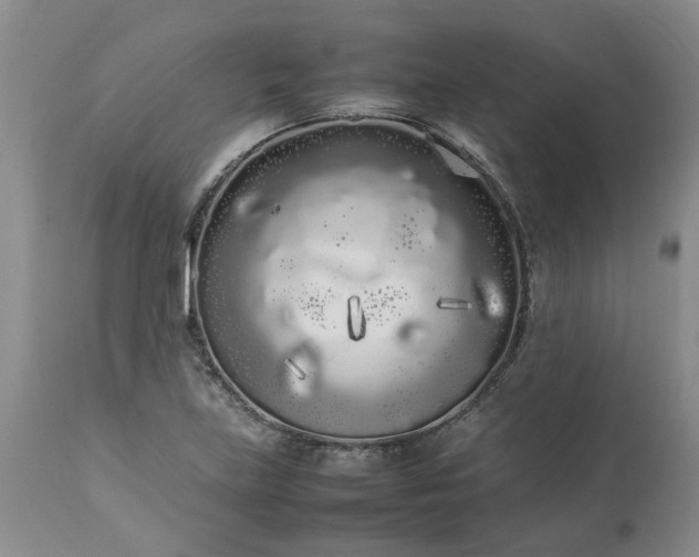 X0000113621219200910021819